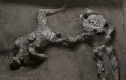Arqueólogos encontram dois corpos de vítimas do Monte Vesúvio